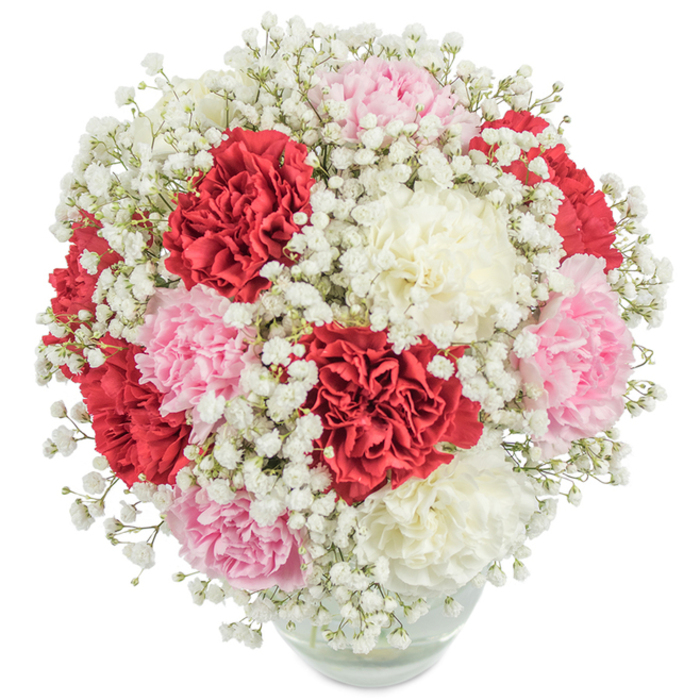 Rich with the colour and texture of classic elegance, this abundant bouquet is a shining example of Bexleyheath's signature floral artistry. A lively medley of red, soft blush, and creamy white carnations nestle together, their ruffled petals densely packed to create an almost perfectly rounded dome atop a transparent vase, reminiscent of the festive gatherings dotting the local high street. Sprays of pure white gypsophila are scattered throughout, softening the bouquet's appearance and adding dancing flecks of lightness that play across every surface. Each stem is visible through the vase, submerged in clean water, alluding to the arrangement's vibrant freshness-almost as if it has just arrived from a flower stall in the heart of Bexleyheath. Photographed in strong, even lighting on a clean white background, the bouquet's distinct colour blocks and nuanced details come vividly to life, promising to inspire feelings of joy, warmth, and heartfelt appreciation. This design is perfect for significant occasions-birthdays, anniversaries, or even as a thank you for a helpful neighbour on Albion Road-reflecting the skilled hands and warm spirit that define Flower Delivery Bexleyheath's approach to floral design.
