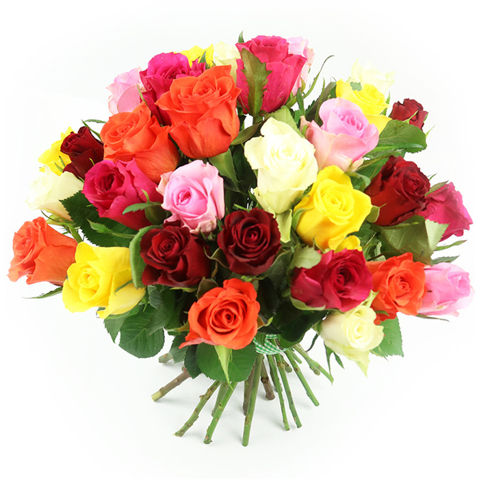 A lavish, hand-tied bouquet of approximately 30 to 40 roses is shown resting on a white surface, with a pure white background that makes every colour stand out clearly, as if displayed in the window of a Bexleyheath flower shop. The roses form a dense, rounded dome, tightly gathered so the blooms create an almost continuous surface of petals. Deep crimson and burgundy roses anchor the design, while bright fuchsia and softer pastel pink roses thread through, bringing a blend of passion, tenderness, and admiration. Sunny yellow roses add a bright, uplifting note, reminiscent of a clear morning in Bexleyheath, and warm orange roses contribute a sense of enthusiasm and festivity. Scattered cream and ivory roses soften the palette, offering a calm, classic elegance amidst the richer tones. Each flower showcases its layered structure, with some roses fully open and revealing intricate spirals, while others remain partly closed, promising more beauty in the days ahead. Dark green foliage peeks out between the blossoms and around the base of the bouquet, giving depth and emphasising the freshness of the arrangement. Below the rich crown of colour, long green stems are pulled neatly together and tied with a green and white gingham ribbon, suggesting careful, professional craftsmanship and a ready-to-gift presentation. The stems then splay slightly at the ends as they rest, adding a touch of informal charm. The even, bright lighting emphasises the natural textures and saturation of the colours, conveying a sense of freshness and quality. This image evokes joy, romance, and heartfelt appreciation, suitable for illustrating rose deliveries for birthdays, anniversaries, and special celebrations across Bexleyheath.