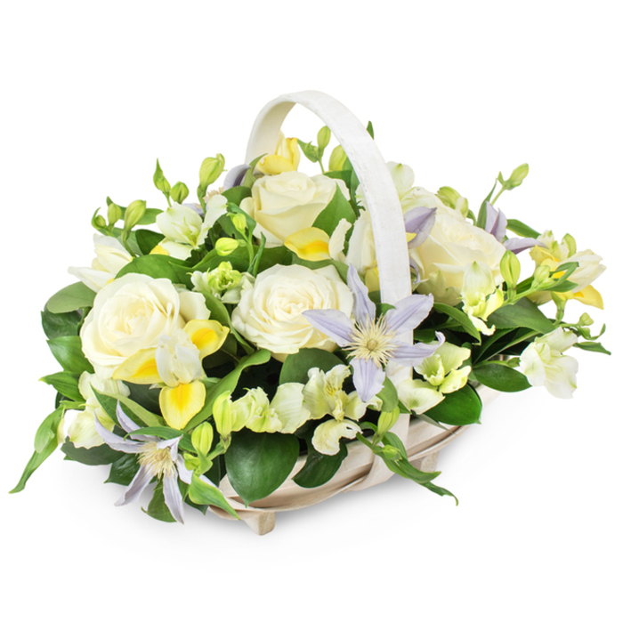 A serene and elegant funeral flower basket is displayed against a plain white backdrop, drawing attention to its soft colours and flowing shapes. The basket itself is crafted from light beige wicker, with a subtle, natural sheen and a rounded rectangular base. A matching handle rises smoothly from side to side, framing the flowers in a way that feels both traditional and comforting, as if ready to be placed in a Bexleyheath chapel or beside a framed photograph at a memorial gathering. Within the basket, luxurious creamy white roses unfold in full bloom, their velvety petals layered in spirals that create a sense of depth and quiet richness. Tucked among them are delicate, star-shaped clematis blooms in pale lavender and gentle periwinkle blue, each blossom centred with a bright yellow-green core that adds a small but radiant contrast, like sunlight glancing off the rooftops near Bexleyheath station. Around these focal flowers, clusters of smaller white and pale yellow blooms, similar to freesia, appear in various stages of opening. Their slender buds and open petals introduce lightness and a hint of fragrance, suggesting springtime and remembrance. Dark green, glossy foliage forms a lush base, wrapping around the arrangement and weaving between the flowers. The combination of broad leaves and finer stems brings structure and a natural garden feel, as though the flowers had been picked from a peaceful corner of Danson Park. The overall effect is calm and composed, with a palette of white, cream, yellow, and lavender designed to soothe. This basket would be a thoughtful choice for funeral services, wakes, or condolence deliveries throughout Bexleyheath, offering a gentle visual tribute and a quiet expression of care.