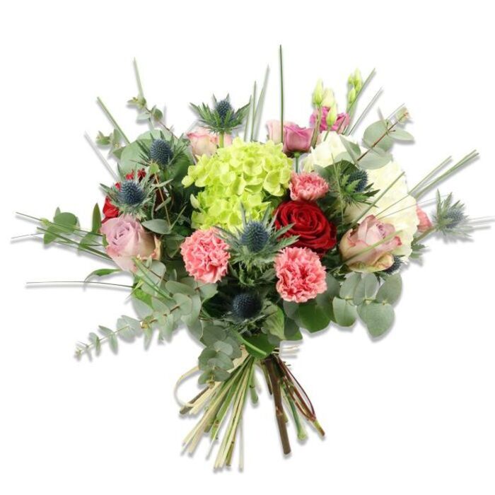This hand-tied floral arrangement sits crisply against a white backdrop, its carefully layered composition showcasing floristry craft: a voluminous lime-green hydrangea occupies the centre, its tiny clustered petals forming a soft, cushion-like focal point. Around it, deep red roses add dramatic, velvety depth while blush pink and cream roses unfurl more softly, creating romantic, pillowy shapes. Coral-pink carnations with ruffled, frilly petals introduce warm textural contrast and pockets of colour, some edged with a darker pink that adds dimension. Blue-grey Eryngium thistles punctuate the mix with their spiky, globe-like heads - an unexpected, architectural accent that lends a modern, slightly wild character and a cool steely-blue tone among the warmer blooms. Plenty of foliage enriches the palette: round silvery eucalyptus leaves provide a muted, aromatic background, and slender upright blades of bright green grass or filler foliage give height and air, some tipped with tiny buds. The bouquet is tied at the base with a natural fibre, exposing fresh-cut stems that suggest recent picking and careful handling. In daylight, the interplay of surfaces - silk-smooth rose petals, crinkled carnation edges, prickly thistle textures and soft hydrangea clusters - becomes tactile in the eye and evocative of scent. This arrangement, suitable for celebrations, anniversaries or as a thoughtful get-well gift, captures a contemporary yet classic mood that sits well in a Bexleyheath sitting room or as a cheerful delivery to a nearby street like Crook Log or Welling Road.