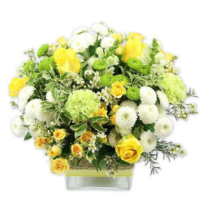 The photograph shows a full, rounded bouquet brimming with yellow, white, and green flowers, artfully arranged in a low, square glass vase and set against a smooth white background that heightens the clarity of each detail. Dominating the centre are several radiant yellow roses, some fully open with layered, velvety petals, others partially closed, each bloom offering a slightly different stage of openness that gives the design a dynamic, living quality. Threaded among them, smaller yellow spray roses form compact clusters, adding extra depth and a sense of abundance. Around the central roses, dense white pompom chrysanthemums spread their spherical, cushion-like heads, their many tiny petals creating a soft, cloudlike appearance. Tucked in between, bright lime green button chrysanthemums serve as neat, round highlights, bringing a crisp pop of lively colour. Larger, pale green frilled blooms-similar to ruffled carnations or decorative green mums-bridge the transition between white and yellow, adding another layer of volume and a cool, refreshing green tone that might call to mind the greenery around Bexleyheath's local parks and residential gardens. The bouquet is generously framed by mixed foliage: broad, variegated leaves with creamy white edges, deep green leaves that provide contrast, and finer, feathery sprigs that soften the outline and create a natural, garden-picked feel. Small, star-shaped white filler flowers are scattered delicately throughout, filling gaps and lending an intricate, airy lightness. The stems inside the clear vase are visible, gathered neatly, while the exterior of the vase is wrapped at the middle in a rustic band of woven natural fibre, topped with a bright lime green ribbon running horizontally. The overall impression is one of freshness, warmth, and quiet celebration-an ideal arrangement for a Bexleyheath home, whether gracing a dining table, brightening a hallway, or marking a special occasion.