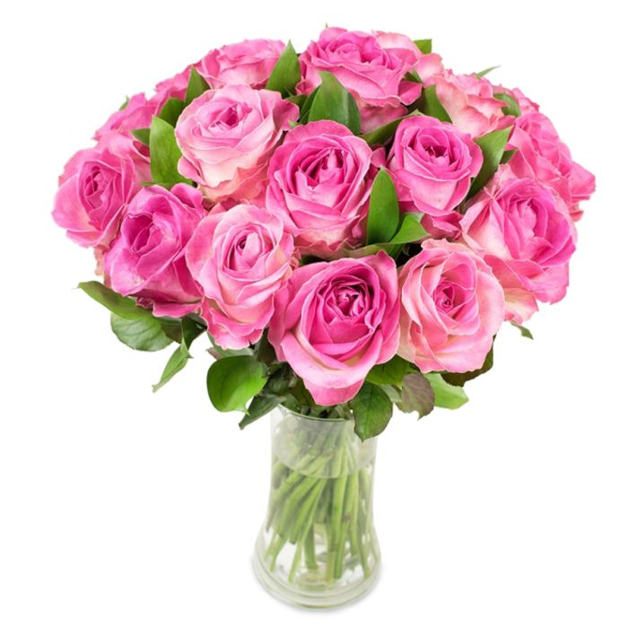 A striking, full-bodied bouquet of approximately two dozen pink roses is carefully arranged into a rounded, dome-like display and placed in a clear, curved glass vase whose profile narrows slightly at the midsection before flaring gently at the mouth and base. Each bloom showcases a concentrated magenta or fuchsia at the tightly furled centre that gently graduates to blush pink and sometimes a creamy white at the outermost petals, producing a soft ombré that feels both lush and refined. The roses are tightly clustered so their spiral centres create a rich textural rhythm across the surface of the bouquet; among them, abundant dark green leaves emerge, their satiny sheen and crisp edges providing a vivid contrast that lifts the overall palette. Looking through the transparent vase, the stems are uniformly trimmed and immersed in clean water, a clear sign of meticulous care during staging. The lighting is bright and even, emphasizing petal structure-curves, folds, and the velvet-like surfaces that invite imagined touch-while casting delicate shadows that enhance the three-dimensional presence. This composition reads as timeless and intentional, suited to formal occasions such as weddings or milestone anniversaries, yet equally appropriate as a heartfelt everyday gift after browsing stalls at the local market or bringing a warm touch home from Bexleyheath High Street. The scent suggests a subtle, sweet fragrance-softly fruity with green undertones-evoking early summer mornings and the reassuring expertise of a florist who knows how to make fresh roses look effortlessly abundant and beautiful.