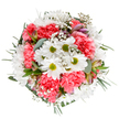 Alive with colour and softness, this bouquet assembled by a Bexleyheath florist embodies renewal and joyful abundance. Delicate white daisies cluster at the centre, their vivid green eyes capturing attention, while plush coral-pink carnations add a lively cushion of texture and warmth reminiscent of springtime walks by Danson Lake. Fine wisps of baby's breath weave among the blossoms, imparting a dreamy, weightless impression-like sunlight dancing on a gentle breeze. Framing the bouquet, eucalyptus and emerald-green leaves bring structure, subtle sophistication, and a hint of woodland fragrance. Alstroemeria buds, blushed with rose and lavender streaks, are gently tucked in, evoking the outset of new beginnings. Each flower is thoughtfully placed to give the arrangement a harmonious, round silhouette, echoing the community connections throughout Bexleyheath. Whether delivered as a birthday surprise, a thank-you, or a symbol of calm celebration, this bouquet radiates a florist's attentive artistry and the vibrant essence of Bexleyheath life.