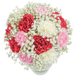 Reminiscent of a crisp morning stroll through Bexleyheath's parklands, this luxurious arrangement of carnations and baby's breath radiates gentle beauty and hope. The robust, rounded bouquet crowns a clear glass vase, its stems bathed in shimmering water that hints at the freshness of each carefully selected bloom. Crimson, pastel pink, and creamy white carnations are nestled in close embrace, their ruffled petals layered like soft, silken fabric. Airy gypsophila surrounds each blossom in a lacy veil, transforming the ensemble into a cloudlike vision that calls to mind the soft daylight filtering over familiar Bexleyheath avenues. Shot from a top-down angle under pristine lighting, every detail-petal, stem, and floret-gleams against a canvas of pure white. This handcrafted bouquet invites feelings of warmth, gratitude, and nostalgic celebration, well suited for cherished moments at home, special occasions, or simply reminding someone in Bexleyheath that they are loved. With a poetic sense of artistry and care, the arrangement stands as a local tribute to tradition and lasting affection.