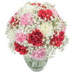 This exquisite floral bouquet, designed with subtle artistry by a seasoned local florist, perfectly captures the blend of celebration and tenderness that Bexleyheath is known for. Generous clusters of rich red, pale blush, and creamy white carnations form the heart of the arrangement, each bloom displaying its uniquely textured, ruffled petals in full glory. Between these larger flowers, drifts of pure white baby's breath float gracefully, softening the overall composition with their cloud-like delicacy and evoking the gentle calm of a quiet afternoon near Danson Lake. The flowers are artfully gathered into a lush, rounded bouquet, every stem placed just so within a clear, minimalist glass vase, the submerged stems and clear water glimmering in the morning light. Sunlight enhances the vivid hues and creates a sense of cheerful openness, inviting memories of sunny days exploring the Broadway or sharing laughter with friends in the nearby parks. This bouquet is ideal for birthdays, joyful welcomes, or as a heartfelt token of appreciation, ready to be delivered to homes and loved ones throughout Bexleyheath. Its scent is soft and uplifting, part spice, part garden freshness, bringing comfort and brightness to any setting-a luminous centrepiece crafted with genuine local care.