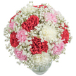 This exuberant bouquet, curated by passionate Bexleyheath florists, is a harmony of rich colour and soft sentiment. The lush, dome-shaped cluster features red, white, and pink carnations, their signature ruffled petals layered and full, evoking energy and affection. Wispy clouds of Baby's Breath weave between the vibrant blossoms, adding a gentle, romantic mist that lightens the arrangement and provides visual contrast. Resting in a rounded glass vase, the bouquet gleams against a crisp white background, showcasing the depth of colour and intricate detail. With every stem meticulously positioned for maximum freshness, the arrangement radiates warmth-perfect for celebrations near Broadway, marking milestones, or simply bringing a touch of joy to a Bexleyheath home. The fragrance and tactile beauty speak to the skilled craftsmanship found within the community, making this display an expressive tribute to the timeless connection between nature, art, and human emotion.